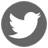 twitter social icon